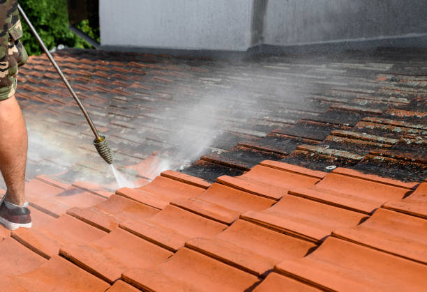 Best Affordable Power Washing  in Batavia, OH